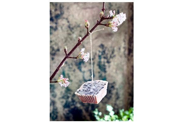 Planten met geur in de winter