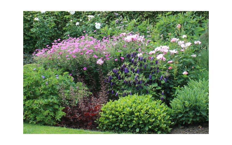 Border in groepen