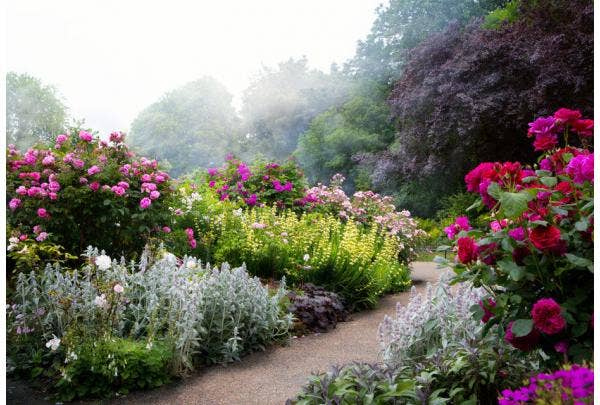 Zomerbloeiers in pot