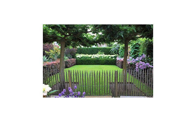 Landelijke tuin