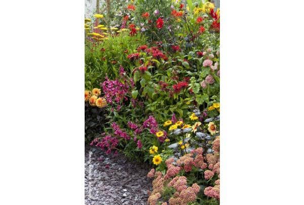 Bloemen in rood, geel en oranje: de hot border