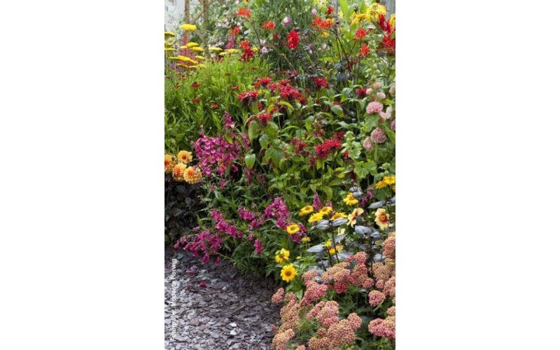 Bloemen in rood, geel en oranje: de hot border