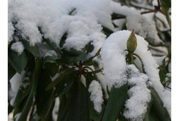 Tuin winterklaar