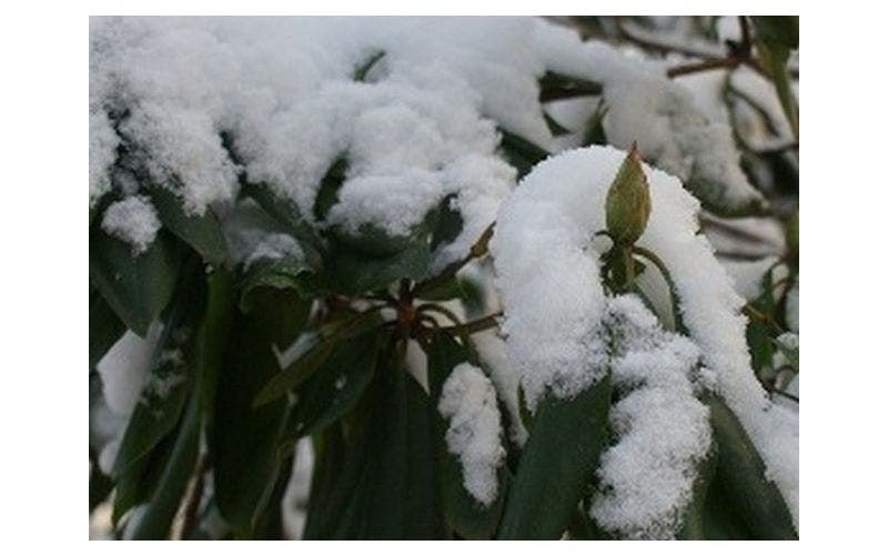 Tuin winterklaar