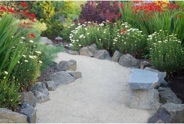 Onderhoudsvriendelijke tuin