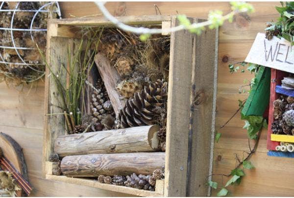 insectenhotel