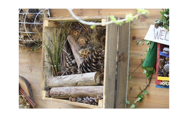 insectenhotel