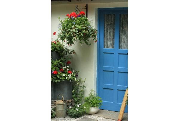 hanging baskets