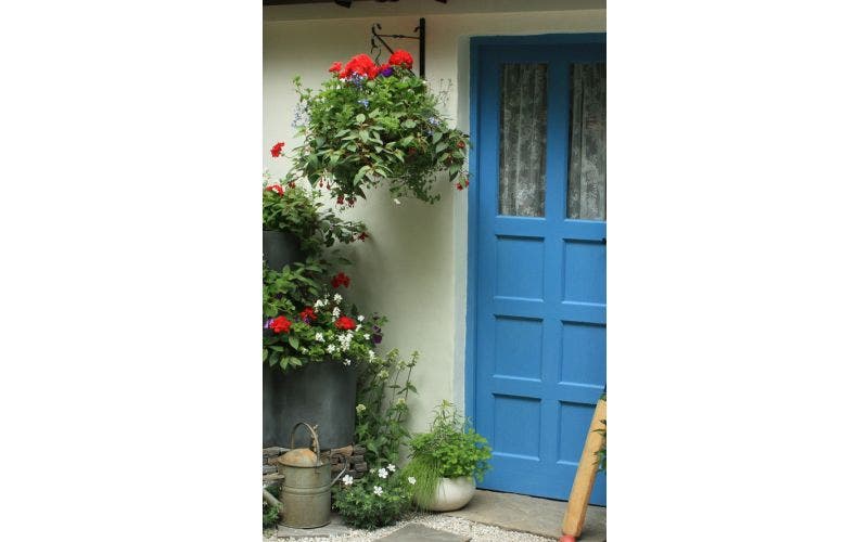hanging baskets