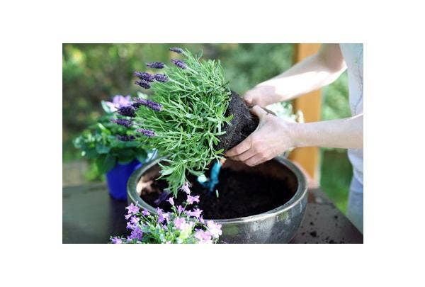 Plantenbakken vullen