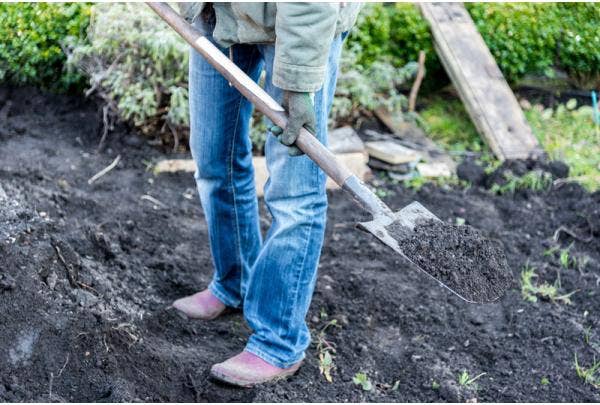 Meststoffen voor de tuin - wanneer en welke kiezen