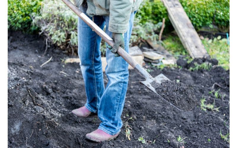 Meststoffen voor de tuin - wanneer en welke kiezen