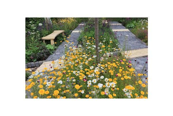 Natuurlijke wilde tuin