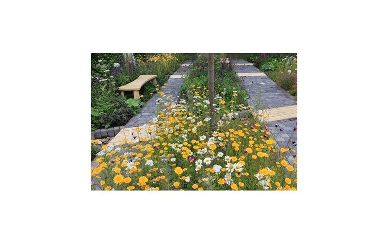 Natuurlijke wilde tuin