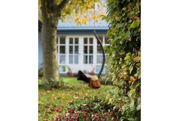 Tuinkalender november