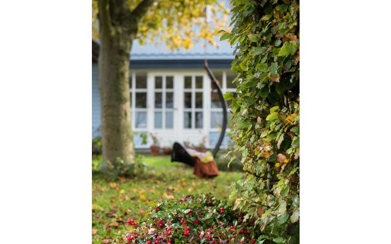 Tuinkalender november