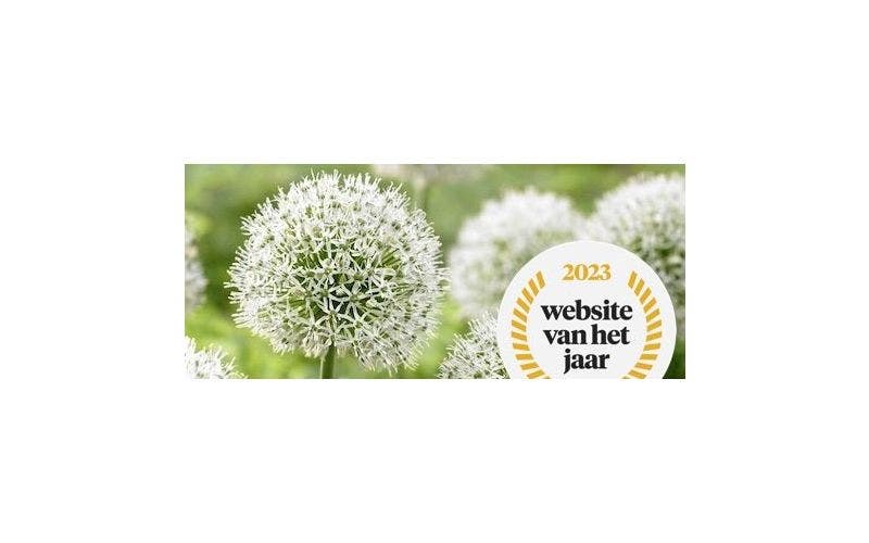 Directplant.nl Website van het Jaar 2023