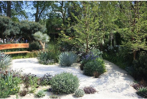 Droogte in de tuin
