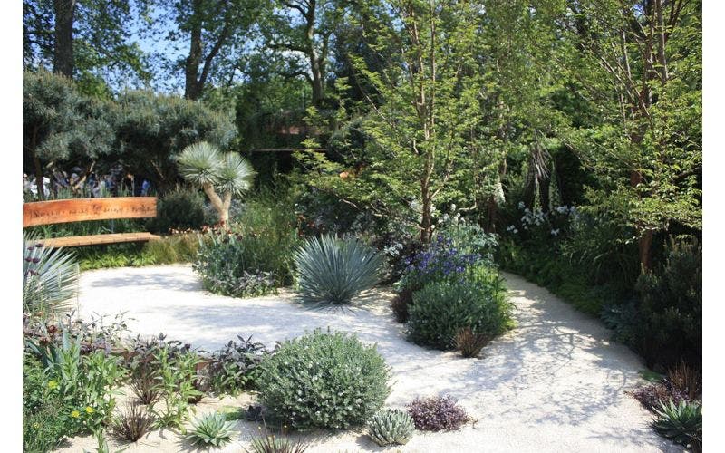 Droogte in de tuin