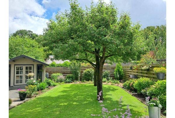 Zomertuin inspiratie