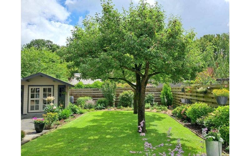 Zomertuin inspiratie