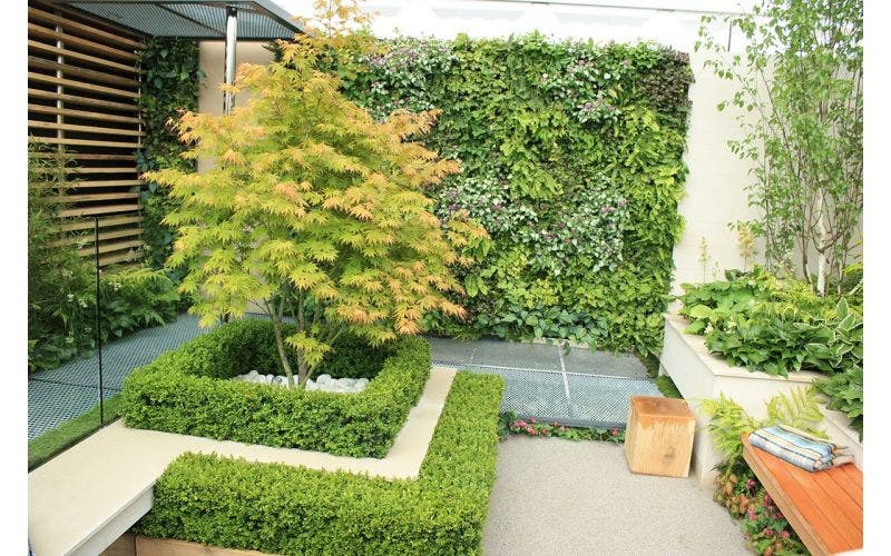 kleine tuin ontwerpen