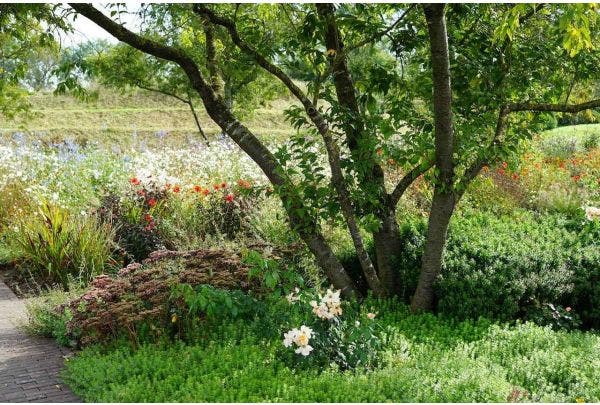 Tuinbezoek: De tuinen van Appeltern in het najaar 