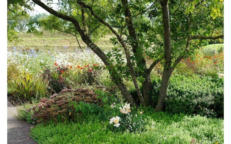 Tuinbezoek: De tuinen van Appeltern in het najaar 