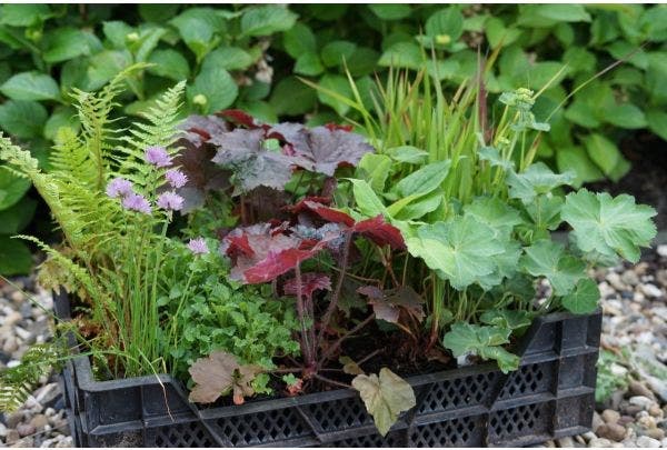 Wij leveren zonder verpakkingsmateriaal!
