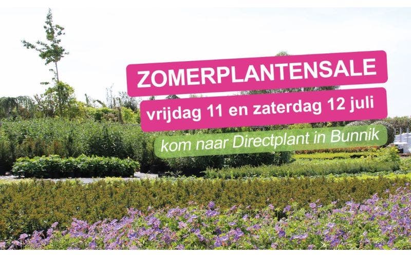 Plantensale