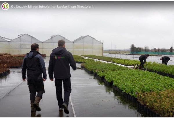 Bezoek aan onze kwekerij