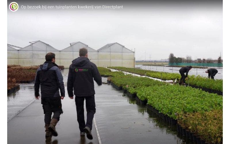 Bezoek aan onze kwekerij