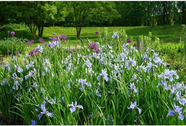 Tuinbezoek: de Vlinderhof in het voorjaar