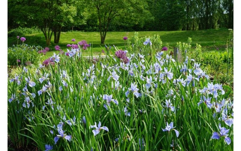 Tuinbezoek: de Vlinderhof in het voorjaar