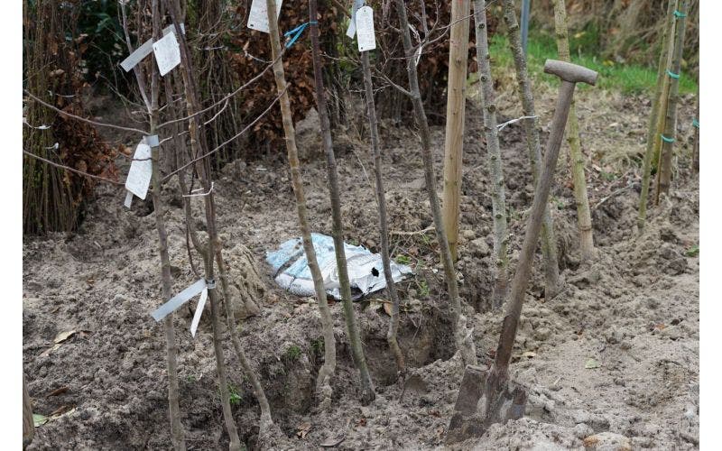 Planten uit volle grond bewaren