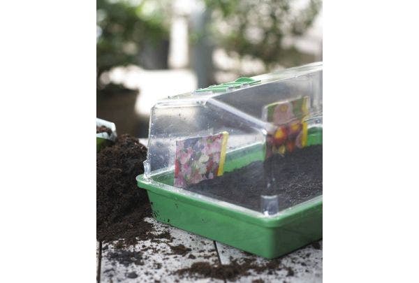 Zaaien hoe en wanneer