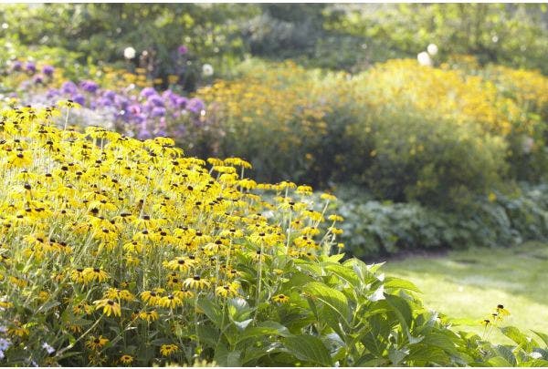 Onze tuin community groeit en groeit!