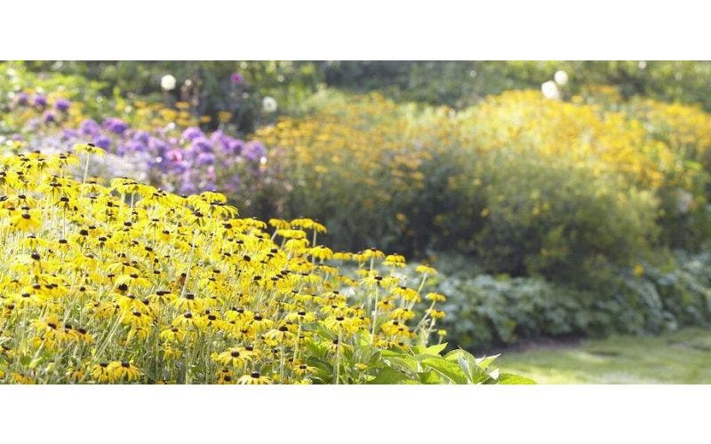 Win 150 euro aan planten