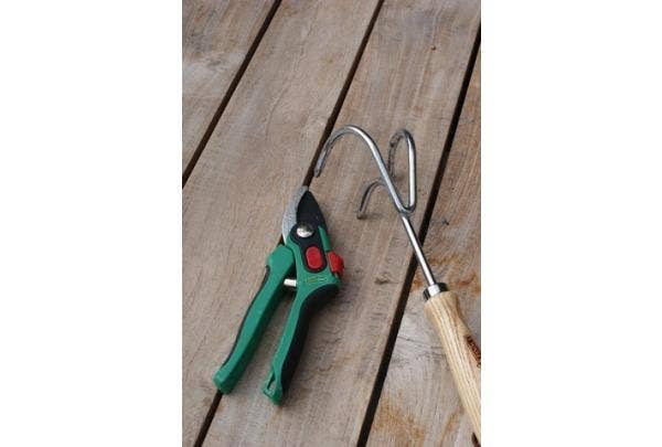 Snoeigereedschap