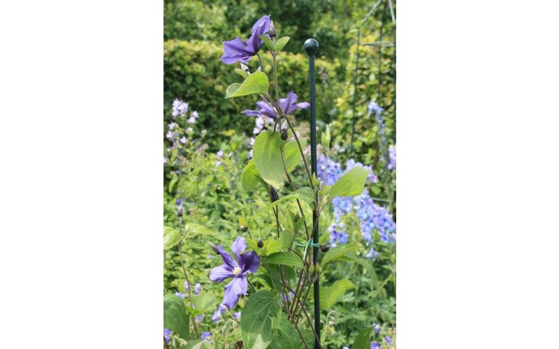 Planten steunen