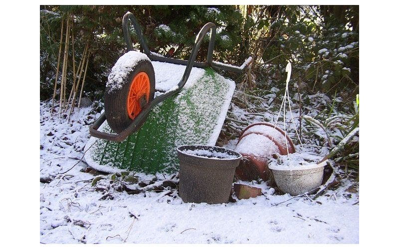 Tuinkalender januari