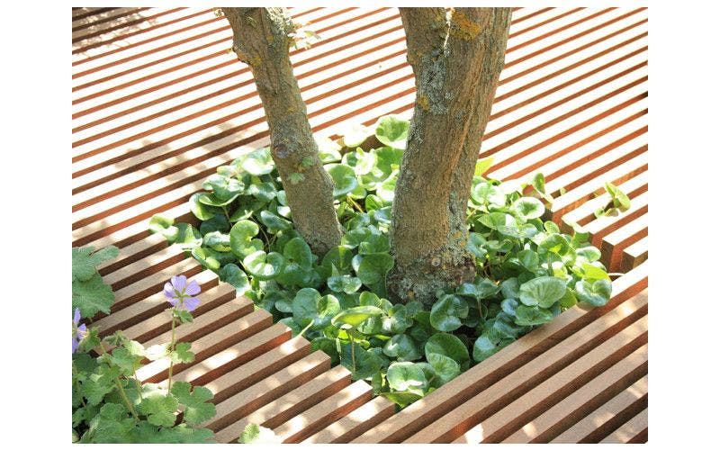 Boomspiegel beplanten