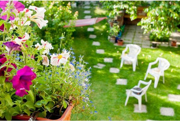 tuinkalender augustus