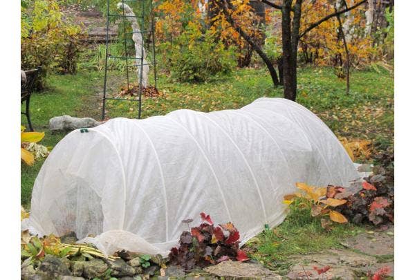 Winterbescherming voor planten