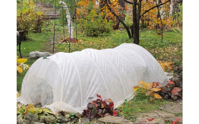 Winterbescherming voor planten
