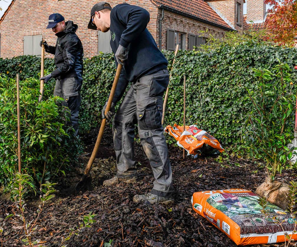 Aanplantgrond Aanplantgrond