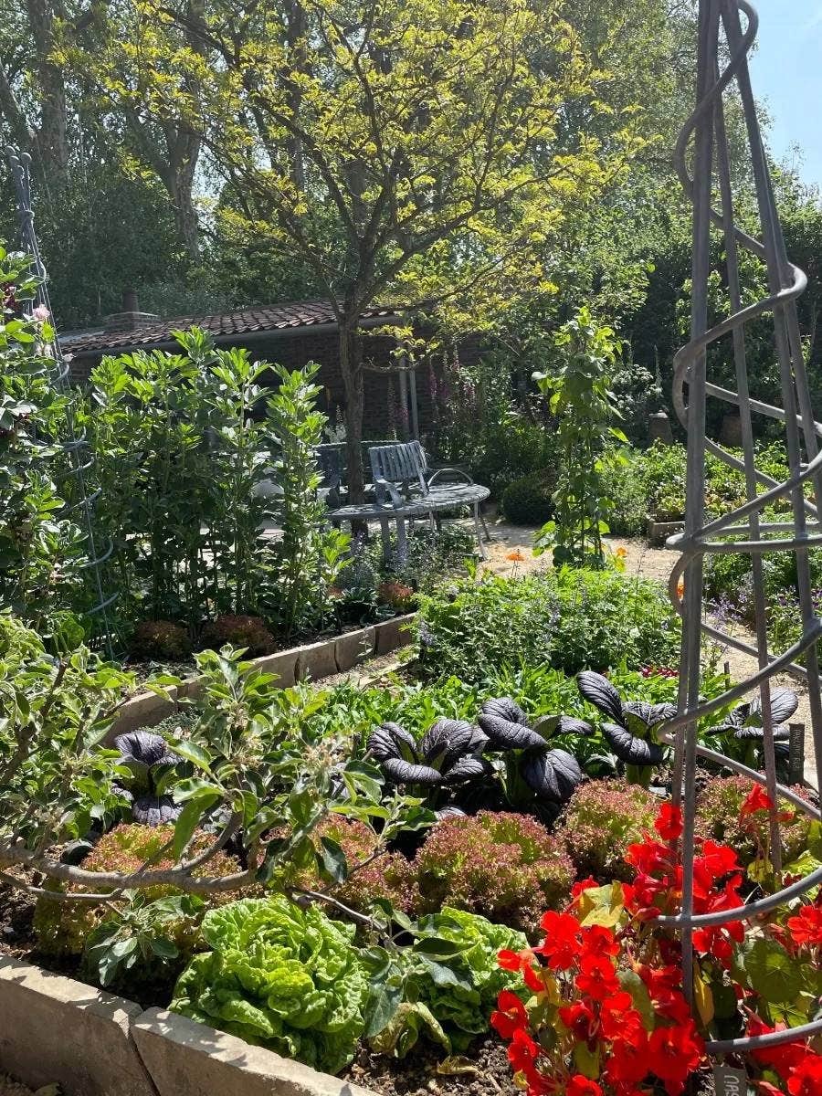 Moestuinzaden