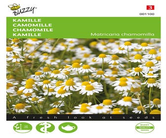 Kamille ( Matricaria chamomilla)