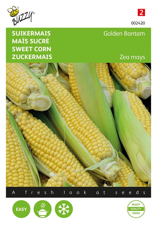 Suikermais