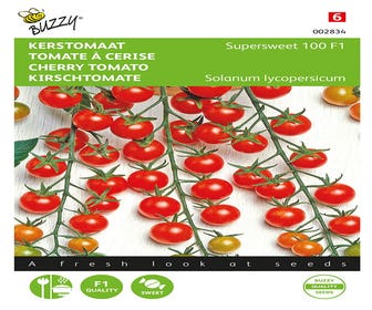 Kerstomaat Supersweet 100 F1